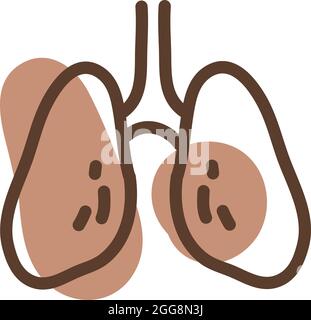 Human lungs, illustration, vector, on a white background. Stock Vector