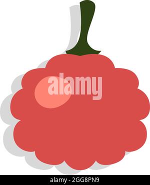 Red raspberries, illustration, vector, on a white background. Stock Vector