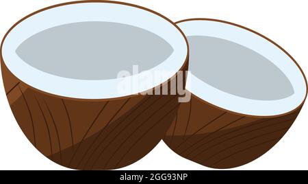 Coconut in half, illustration, vector on white background. Stock Vector