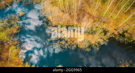 Spring Season. Aerial View. Young Birches Grow Among Small Marsh Bog Swamp. Deciduous Trees With Young Foliage Leaves In Landscape In Early Spring Stock Photo