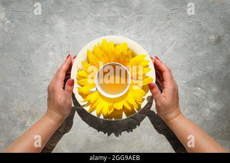 Hands hold cup of tea circled with sunflower petals. Flat lay, top view on light grey textured neutral background. Square composition. Sunshine in eve Stock Photo