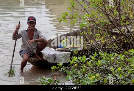 U Minh Forest in the Mekong Delta of Vietnam Stock Photo - Alamy