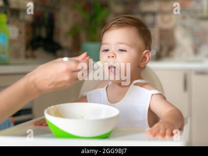 Feeding child. Cute baby eating food. His mother feeds him with a spoon. First lure. Portrait of a happy young child in a high chair being fed Stock Photo