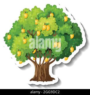Mango tree sticker on white background illustration Stock Vector