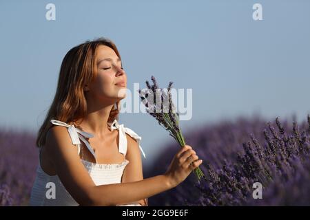 Relaxed woman holding bouquet smelling flowers in a lavender field at sunset Stock Photo