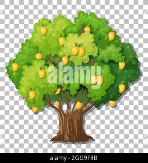 Mango tree on transparent background illustration Stock Vector