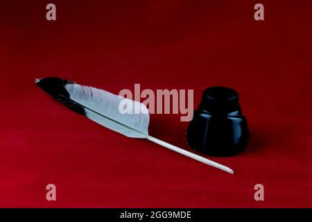 Quill feather pen and ink bottle isolated on a red background Stock Photo