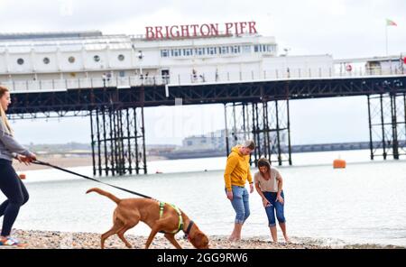 Brighton UK 30th August 2021 - A couple go for a paddle on Brighton beach on an overcast August bank holiday Monday morning .  : Credit Simon Dack / Alamy Live News Stock Photo