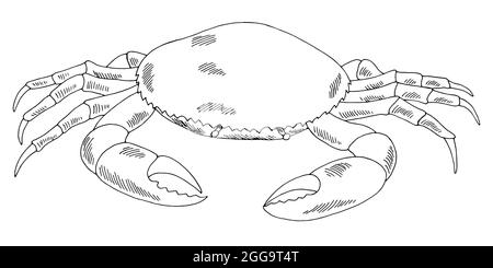 Crab graphic black white isolated sketch illustration vector Stock Vector