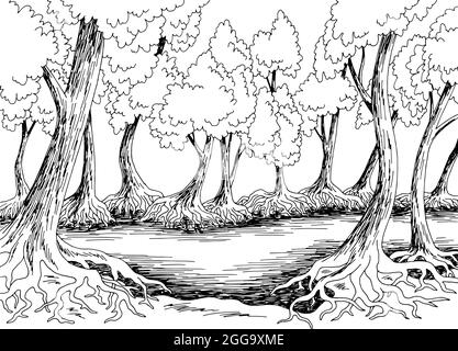 Mangrove jungle forest river graphic black white landscape sketch illustration vector Stock Vector