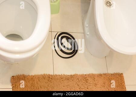 https://l450v.alamy.com/450v/2ggad6d/a-black-poisonous-snake-lies-in-the-apartment-in-toilet-room-between-the-toilet-and-the-bidet-2ggad6d.jpg