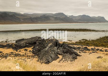 Budir Beach, only one of a small handful of sand coiloured beaches on Iceland's coast Stock Photo