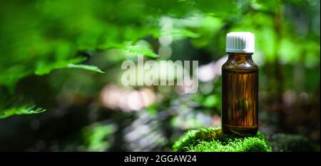 Spa oil in bottle on moss. Bokeh nature background provides, copy space. Natural remedium. Blur green nature background. Stock Photo