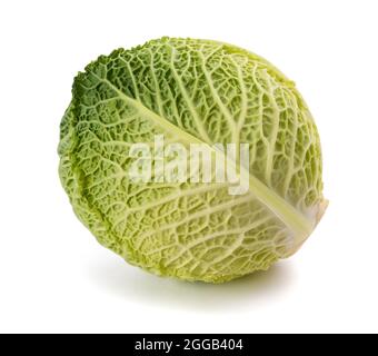 Fresh savoy cabbage isolated on white background Stock Photo