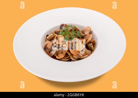 Clams with tomato sauce with parsley sprig in white plate isolated on yellow backgroud Stock Photo
