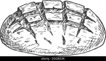 Vector Bakery Sketch. Hand Drawn Illustration of a Loaf of Sourdough Bread. Isolated Stock Vector