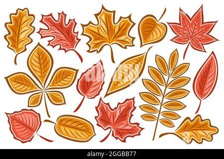 Vector set of Autumn Leaves, lot collection of cut out illustrations autumnal dried leaf for herbarium, group of cartoon design orange rowan sprig and Stock Vector