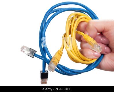 Blue and yellow Ethernet cables in women's hand isolated on white background. Bundle of Ethernet computer interface cables with different colors Stock Photo