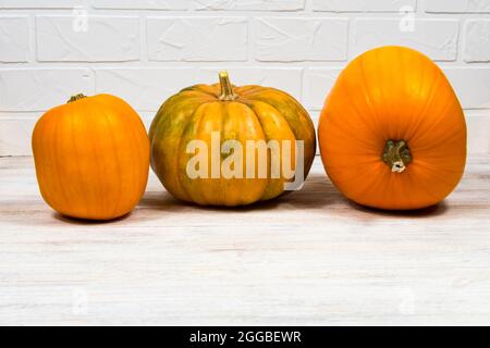 Three pumpkins of different sizes and shapes, standing in a row on a white background Stock Photo