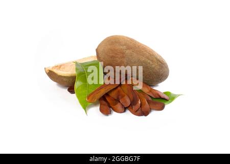 Swietenia mahagoni fruit on isolated white background Stock Photo