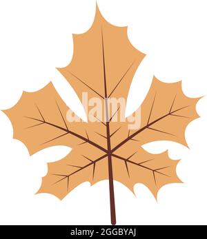 Autumn leaves icon flat design template vector Stock Vector