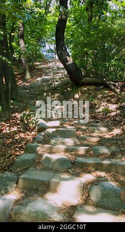 Way up with stairs of natural stones in Bukhansan National Park, Seoul, South Korea,  with sunlight Stock Photo