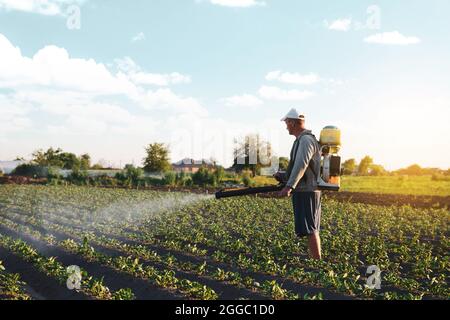 Farmer sprays pesticides on plantation. Use of chemicals for protection of plants from insects and fungal infections. Farm work on field. Pesticides a Stock Photo