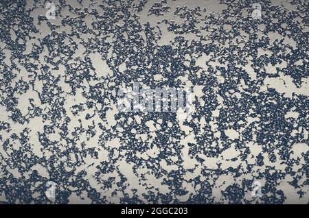 White and blue Textured putty on the wall. Abstract relief background with scopy space. Stock Photo