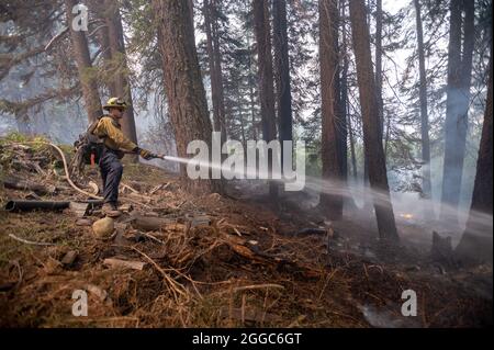 cal fire washington fire cal fire washington fire
