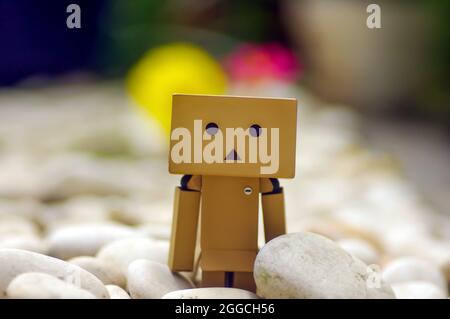 A cardboard in the garden  with a bokeh background selected focus Stock Photo