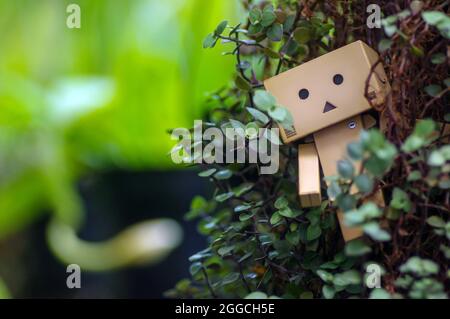 A cardboard in the garden  with a bokeh background, in shallow focus Stock Photo