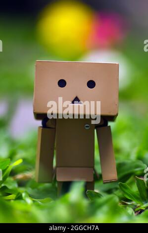 A cardboard in the garden  with a bokeh background selected focus Stock Photo