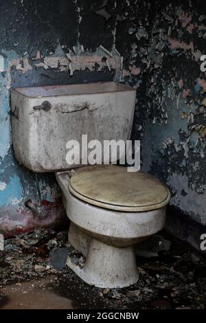 The interior of an abandoned bathroom. Stock Photo