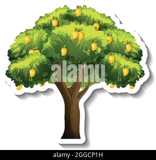 Mango tree sticker on white background illustration Stock Vector