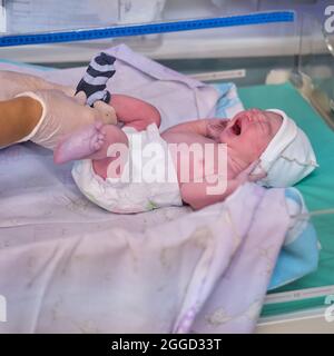 Dressing sock a newborn baby by a doctor immediately after birth Stock Photo