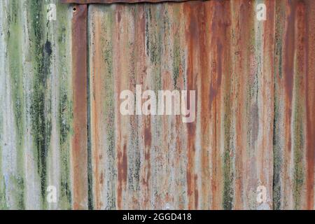 Old rusty corrugated metal background with red oxidisation and green mould Stock Photo
