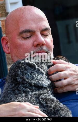 Bald headed man having an affectionate cuddle with a black haired Labradoodle dog Stock Photo