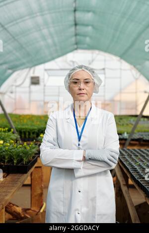 Serious mature female scientist in workwear standing against tables with seedlings in large hothouse Stock Photo