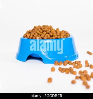 Blue plate with dry food for animal on a white background isolate square card for the pet shop Stock Photo