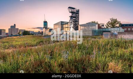 Evening panorama of the city of Katowice, sunset seen from the premises of the Silesian Museum, in the foreground a flower meadow and buildings of the Stock Photo