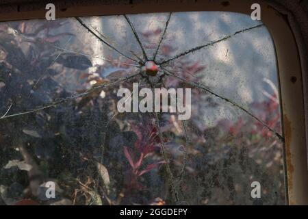 close-up of a damaged car window with out of focus flowery background Stock Photo