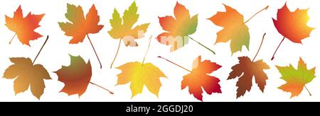 eps vector file with end of summer or fall maple colored leaves collection, template for end of year advertising projects Stock Vector