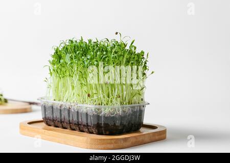 Plastic container with fresh micro green on white background Stock Photo