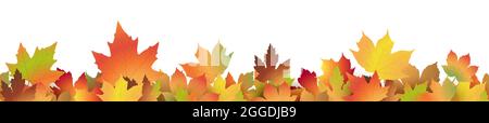 eps vector file with end of summer or fall maple colored leaves on lower side, seamless panorama style Stock Vector