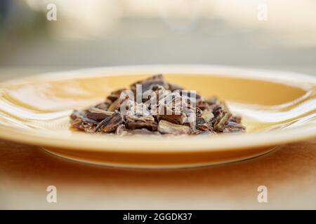 Carob - plant-based alternative - natural product on the plate. Organic antioxidants and protein. Copy space. High quality photo Stock Photo