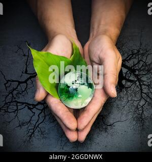 human hands holding green earth with a growing plant Stock Photo - Alamy