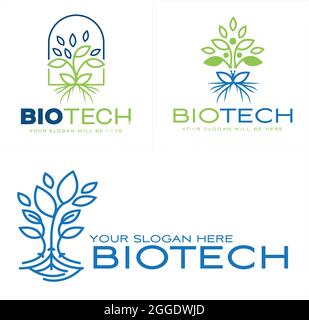 Biotech with tree leaf plant vector logo design Stock Vector