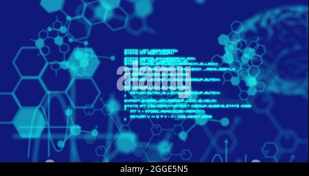 Image of digital brains medical data processing and information flowing on blue background Stock Photo