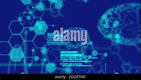 Image of digital brains medical data processing and information flowing on blue background Stock Photo