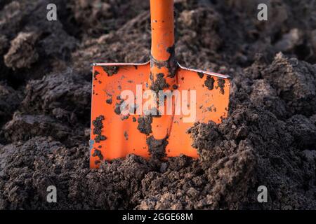 orange shovel in the ground. Agriculture concept Stock Photo